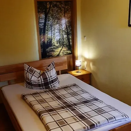 Apartments Carmen-Braunlage Extérieur photo