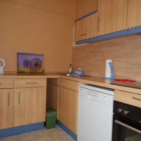 Apartments Carmen-Braunlage Extérieur photo