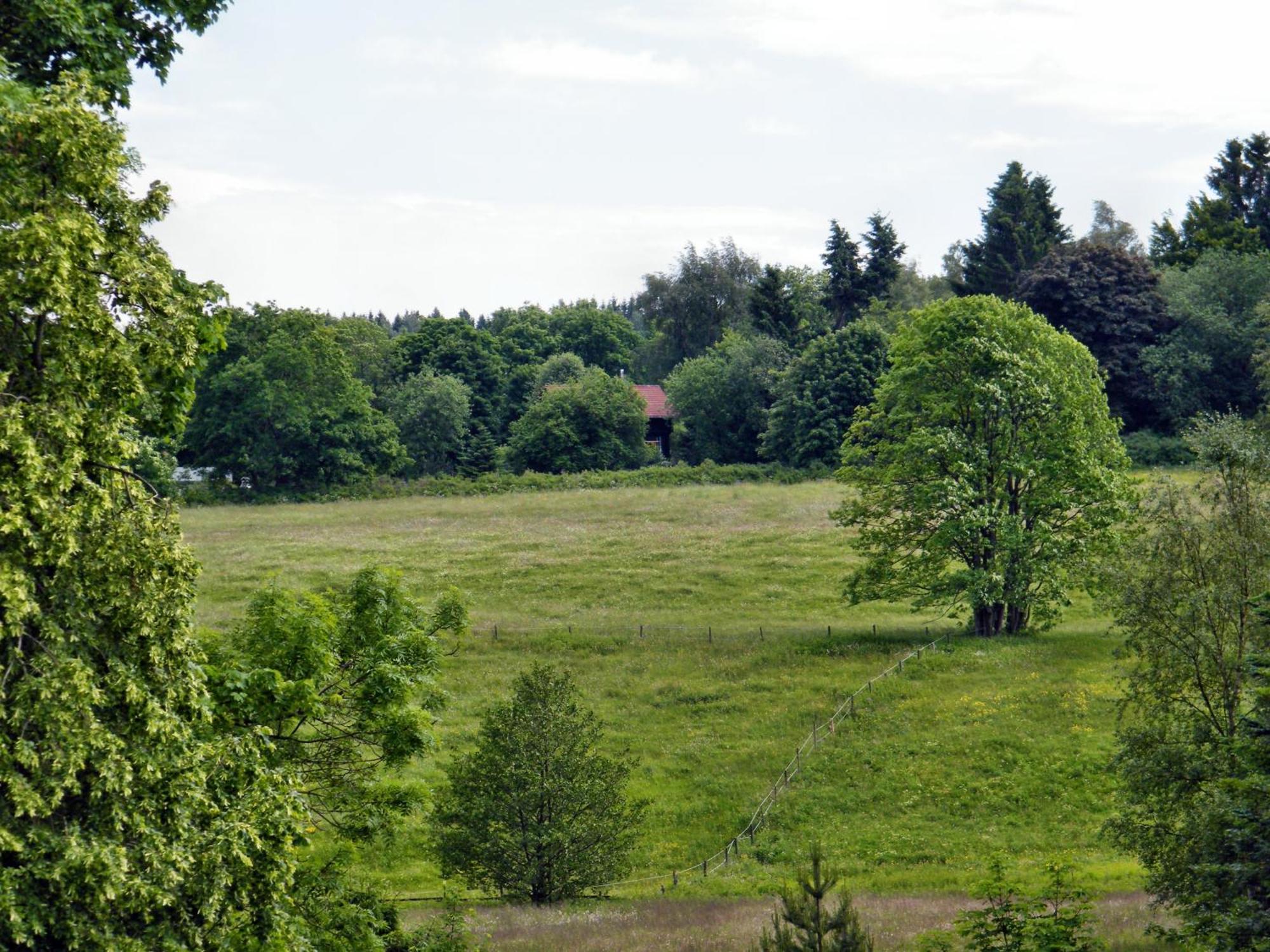 Carmen-braunlage
