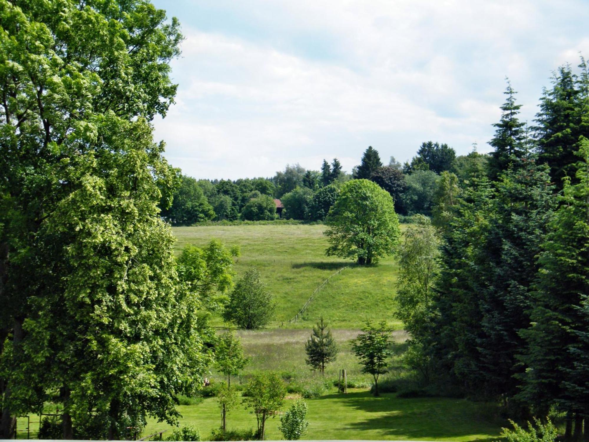 Appartement Carmen-braunlage Braunlage