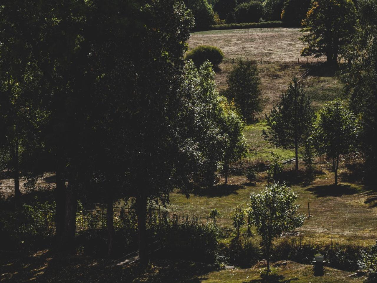Carmen-braunlage *